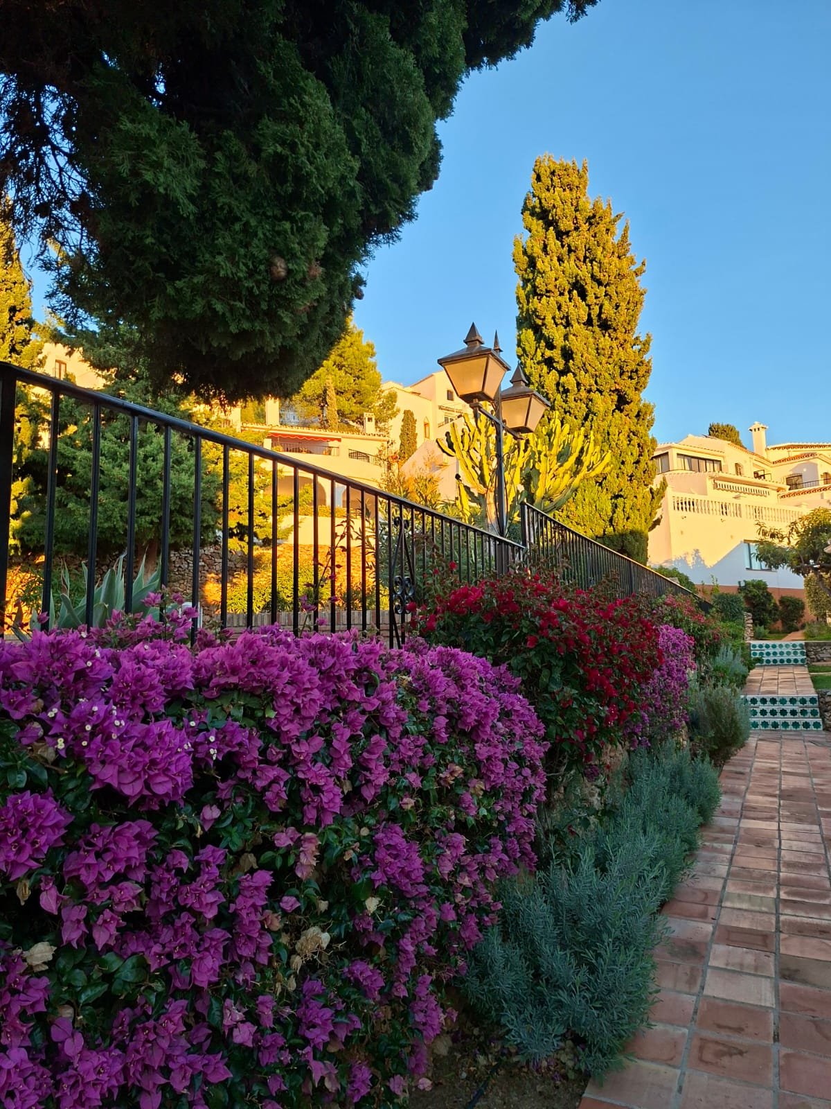 09706bf8-ac38-4744-9fd5-06142c82c434