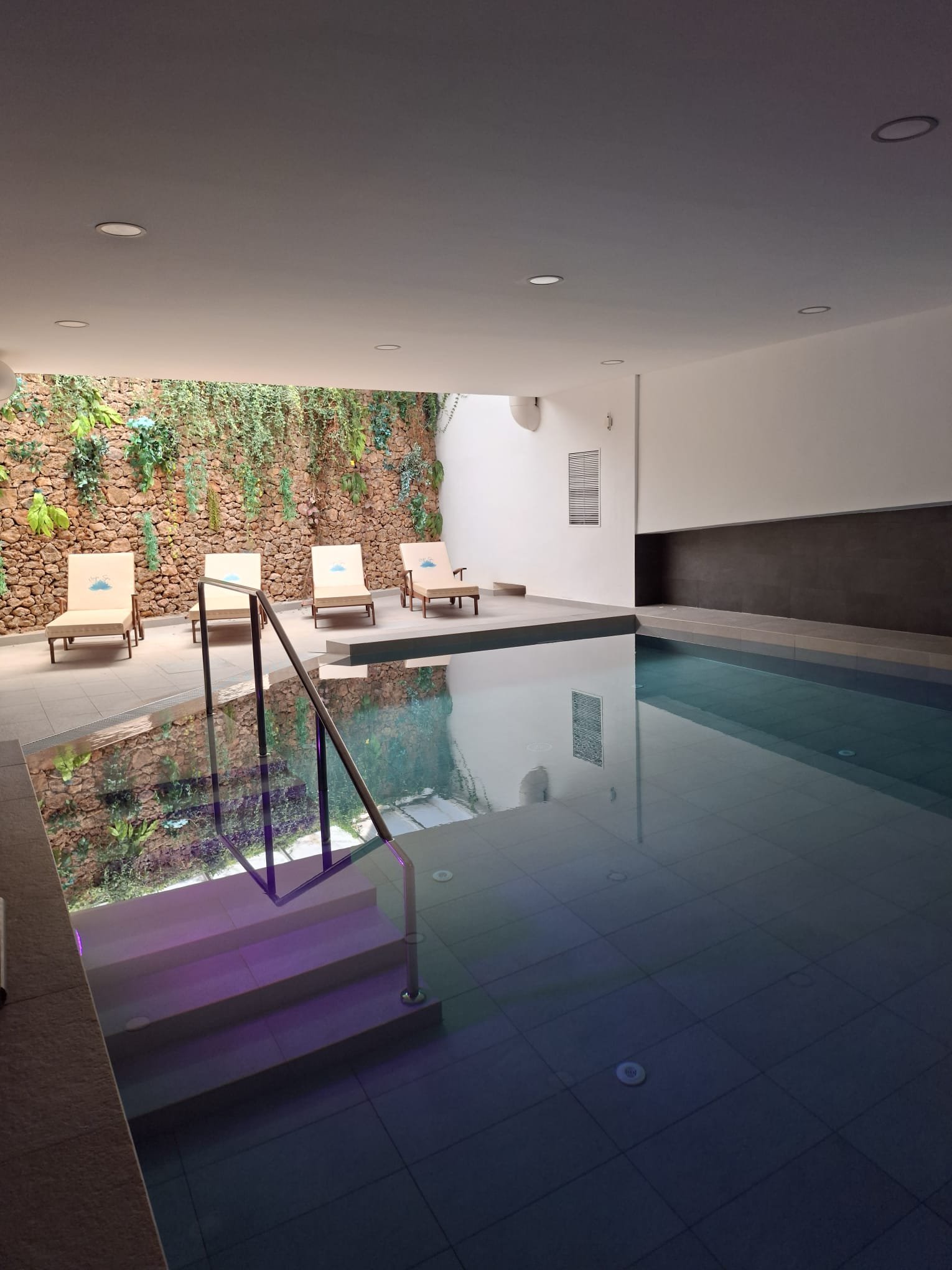 19cfc8fa-bd19-423a-ac1b-e211d5a2548d