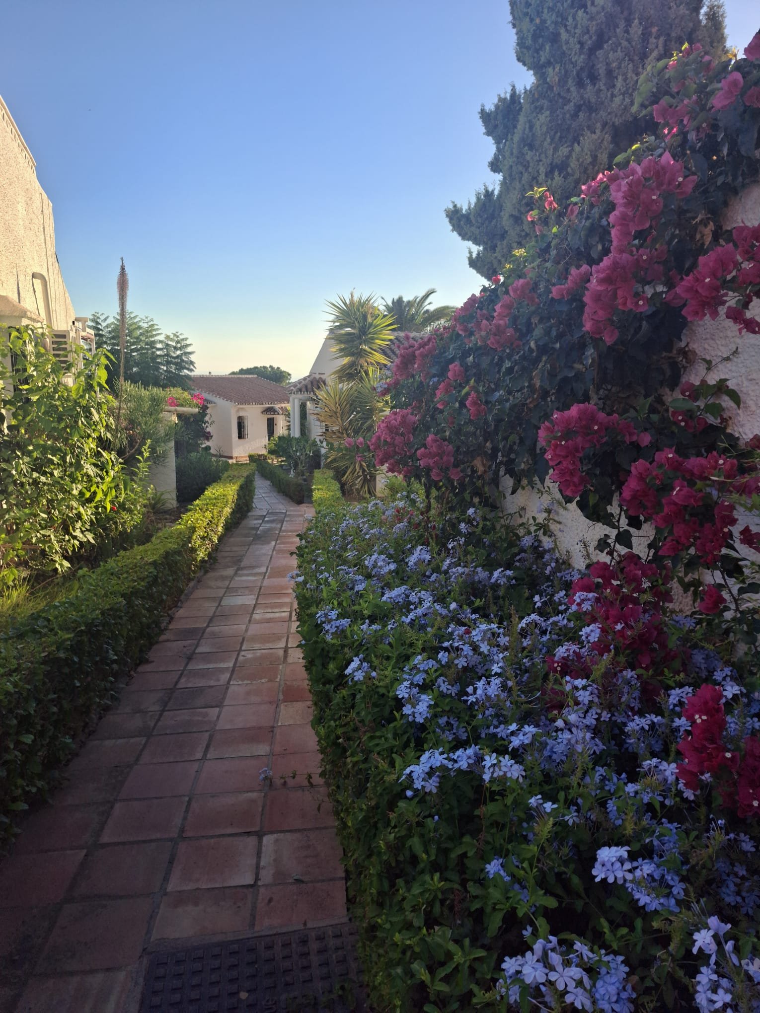 2f903bee-eecc-42c9-994f-9f6d18a14a65