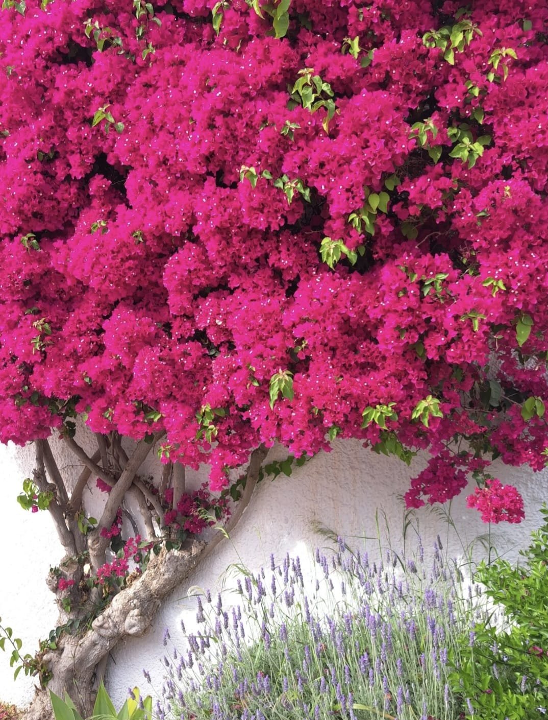 3f76f066-f660-4ae5-aded-87cbd4de5a90