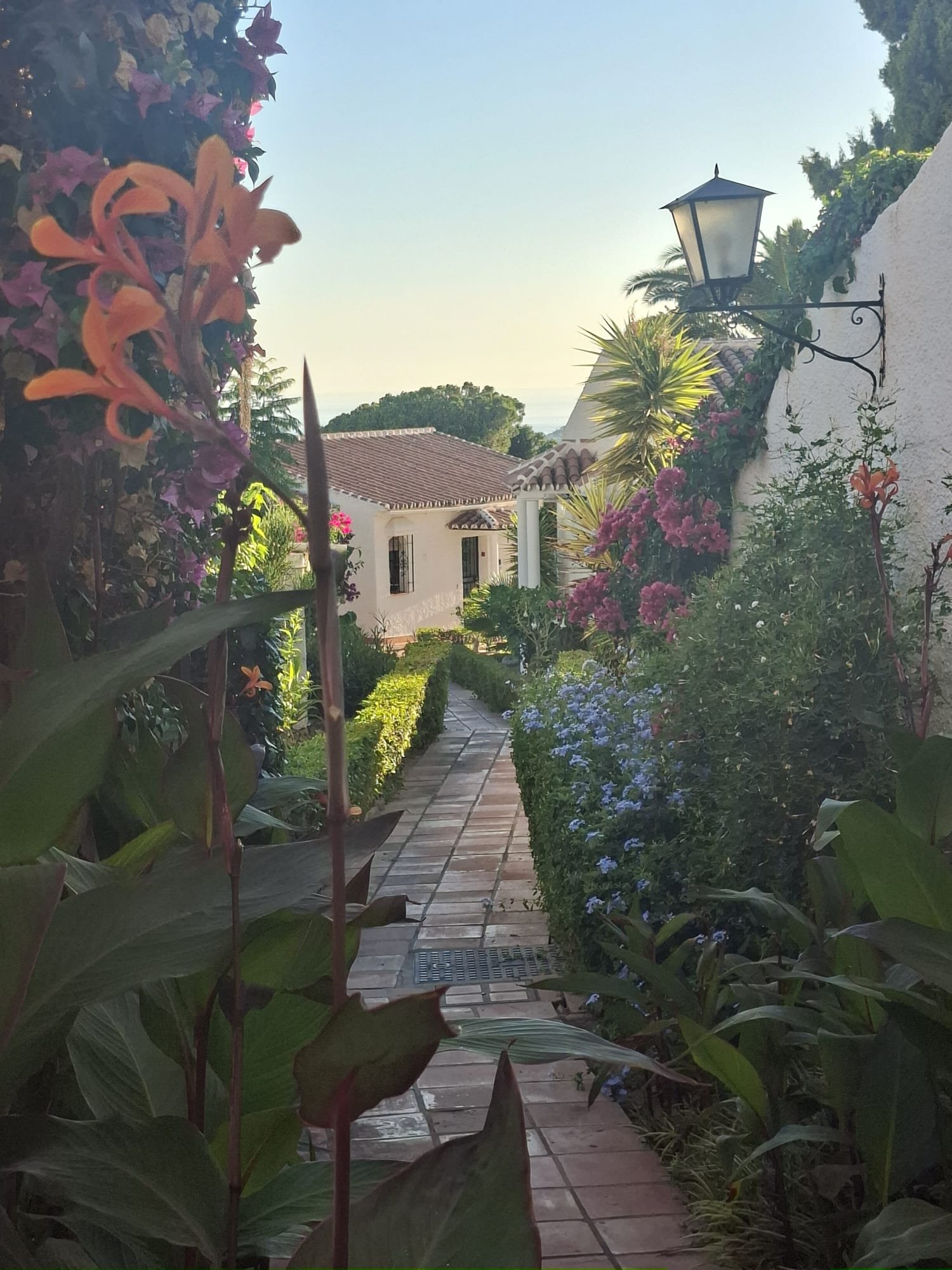 952ba38c-eca5-4b43-a15f-9822a203348f